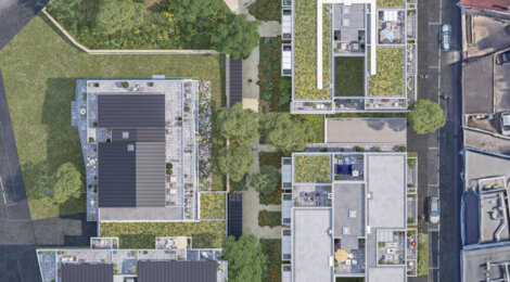 Programme immobilier neuf BOSCO - Rezé : logements neufs sécurisés et verdoyants proche des transports (44400) - Référence : 15250